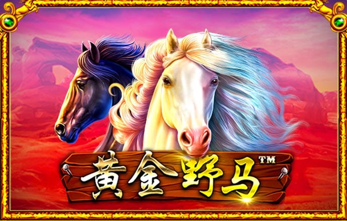 bbv体育登陆入口 333体育注册登录网址